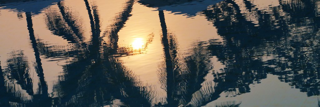 TamlinWightman's profile banner image