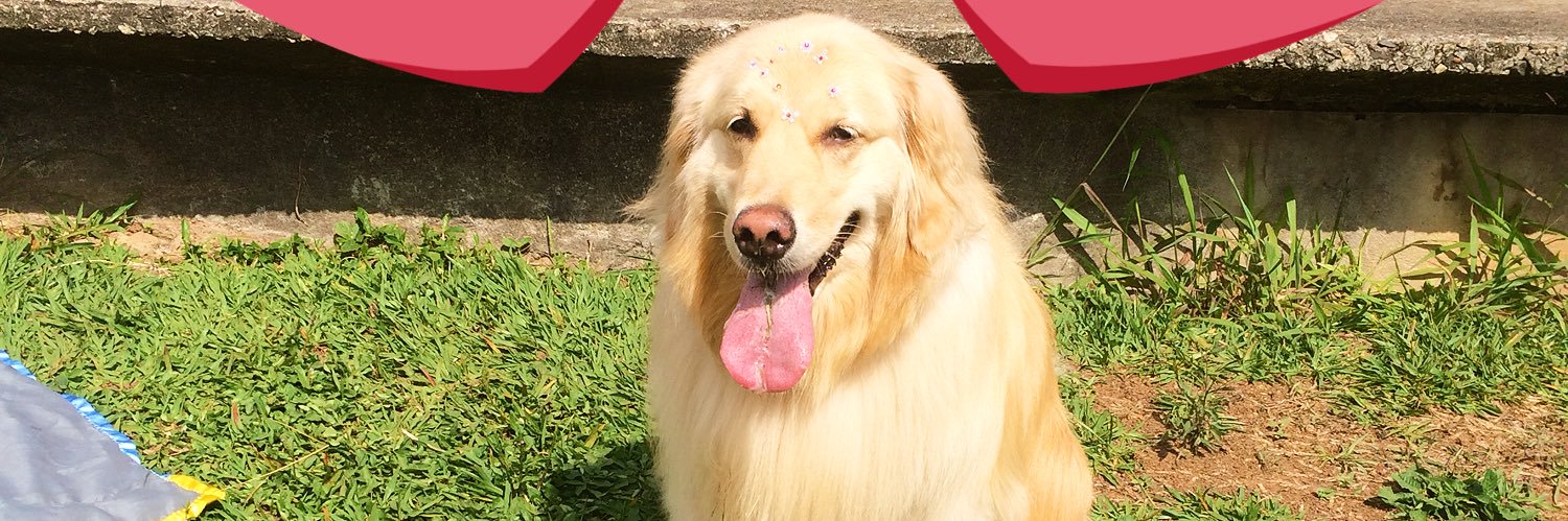 sandramonzillo's profile banner image