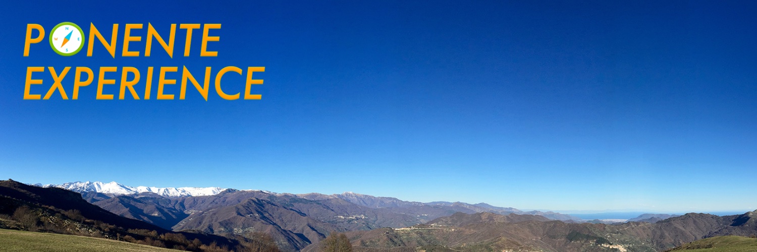 PonentEx's profile banner image