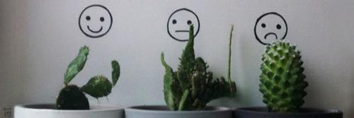 TumblrCactus's profile banner image