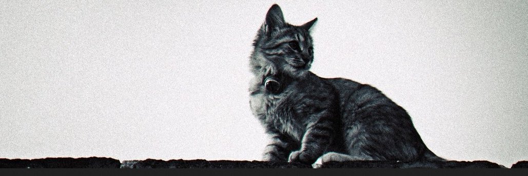 Mizuchi_Y's profile banner image