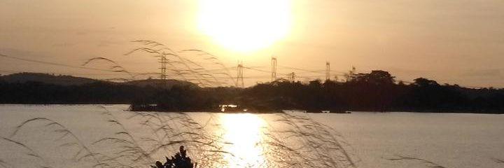 Lis Perez  Padilla banner