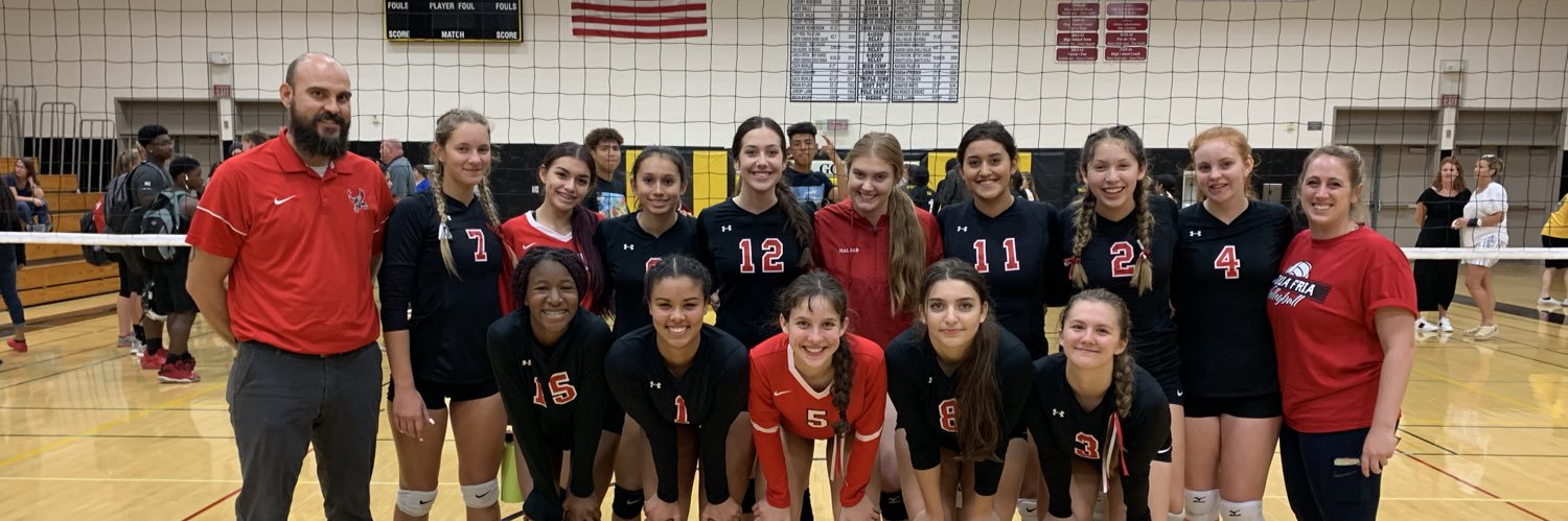 Lady Owls Volleyball banner
