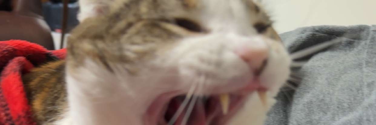 RAGEMLG37's profile banner image