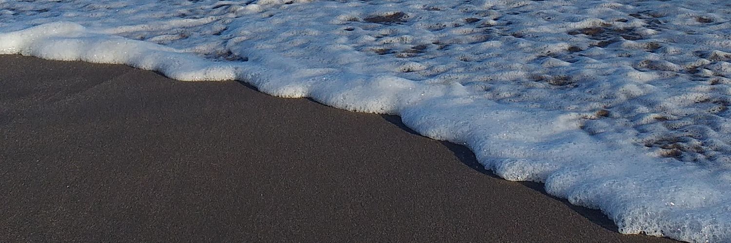 danucesarii's profile banner image