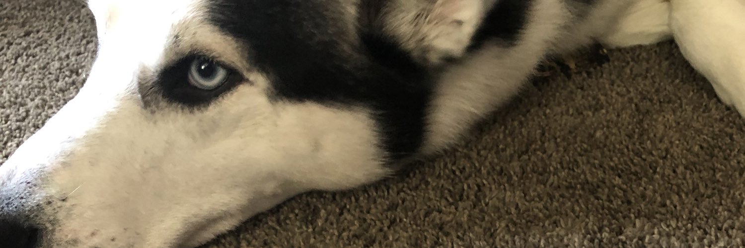 crazy_redpanda's profile banner image