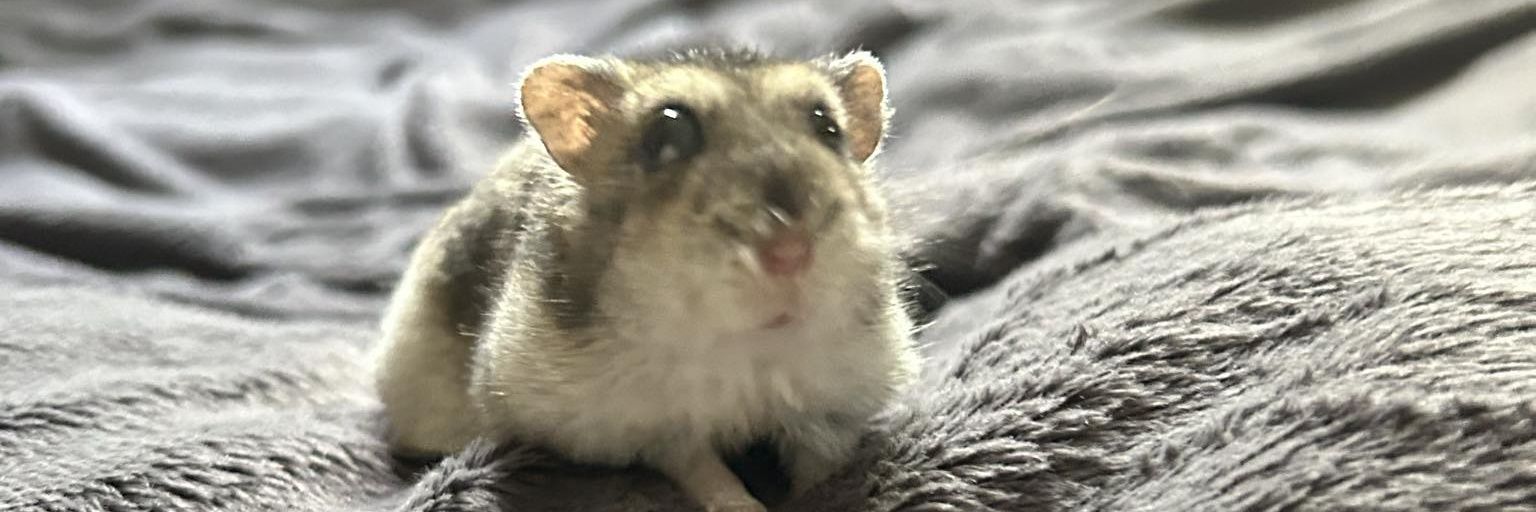 RevengerD's profile banner image