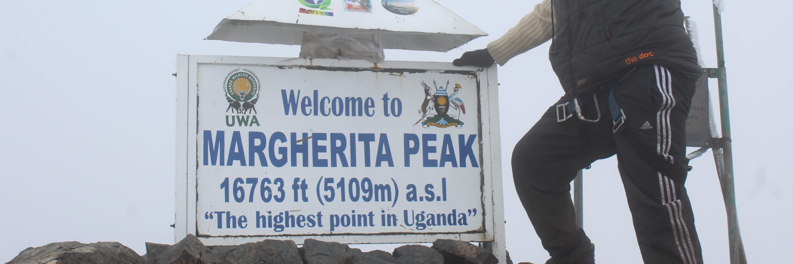 David Mugabe Alele banner