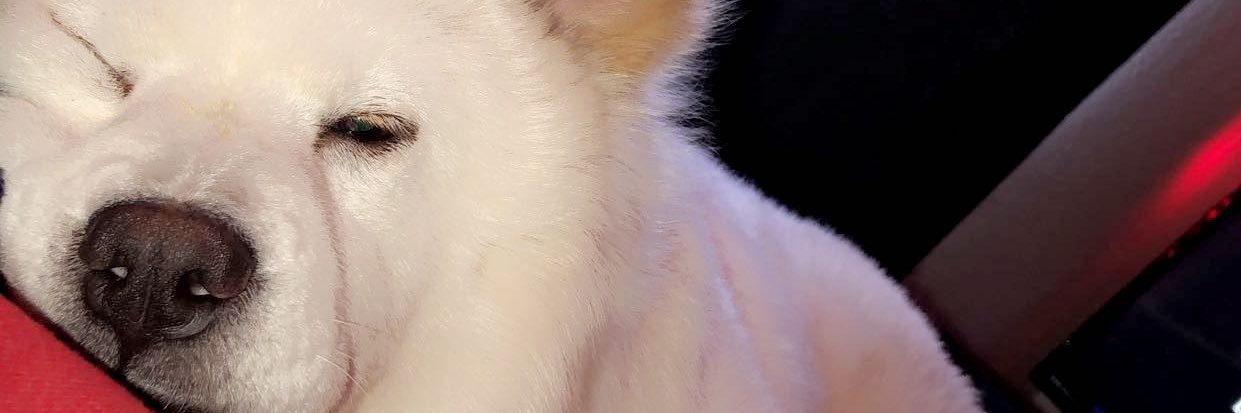 caaessynn's profile banner image