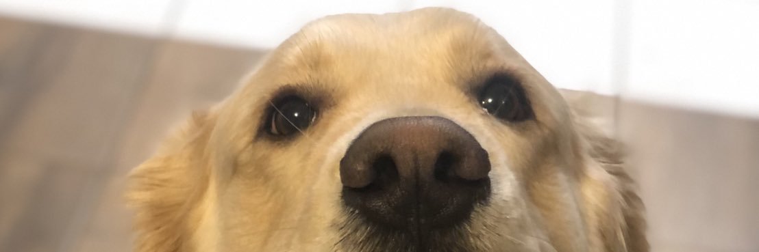 EdsonWebDev's profile banner image