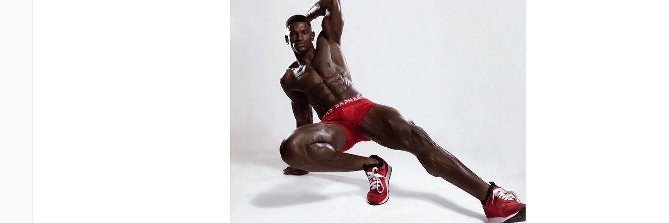 Frankie Scott Bridge (parody) banner