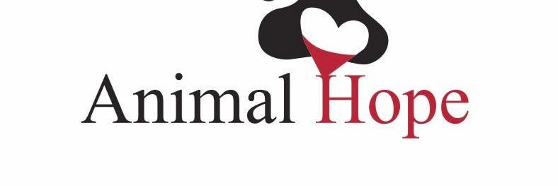 Animal6708's profile banner image