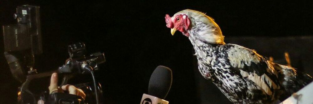 marttels's profile banner image