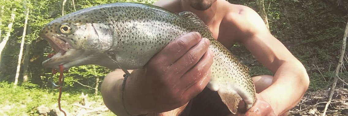 CalumDTrivyy's profile banner image