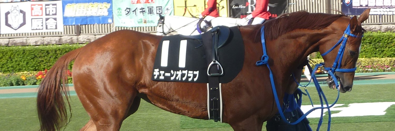 kitako_funyako's profile banner image