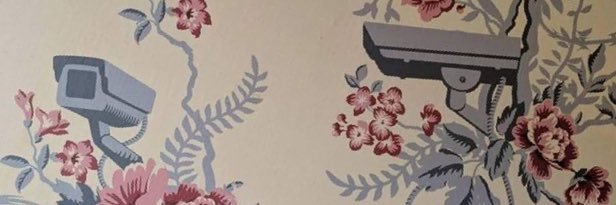 plaingoodlookin's profile banner image