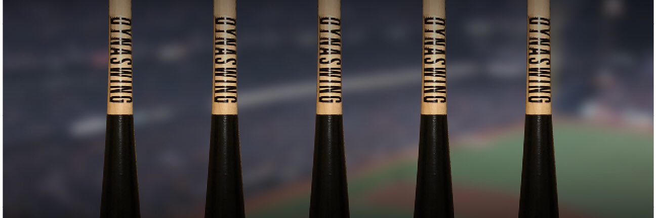 Dynaswing Training Bats banner