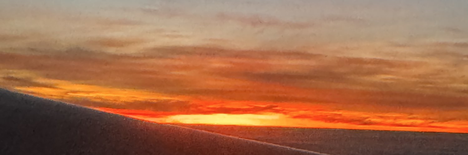 Javier Bu Soto banner