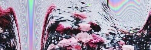 sthuyls's profile banner image