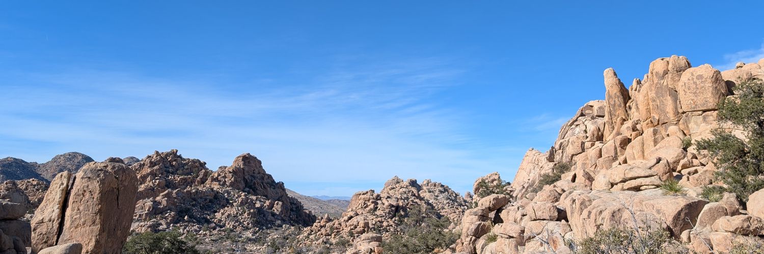 LTraynor11's profile banner image