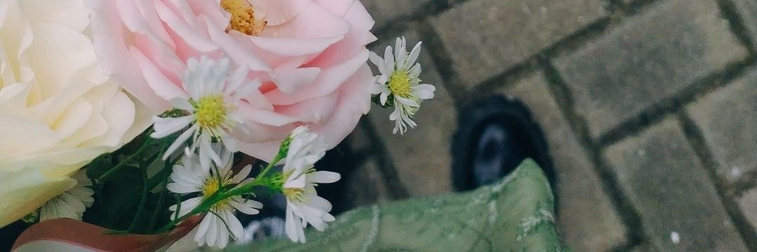 ultrastroberry's profile banner image