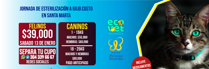 fmariposasa's profile banner image