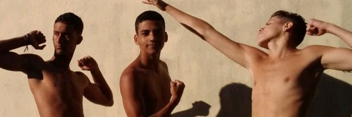 bacellarigor's profile banner image