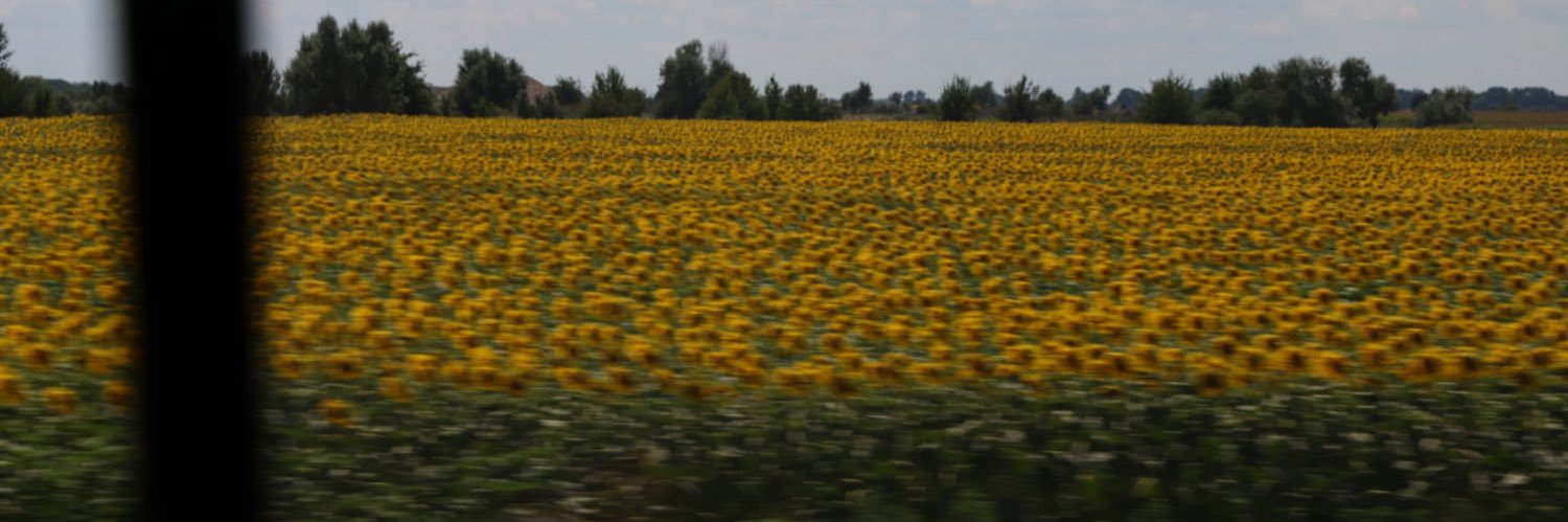 Janice Dickson banner