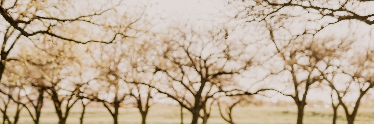 CoastKatlyn's profile banner image