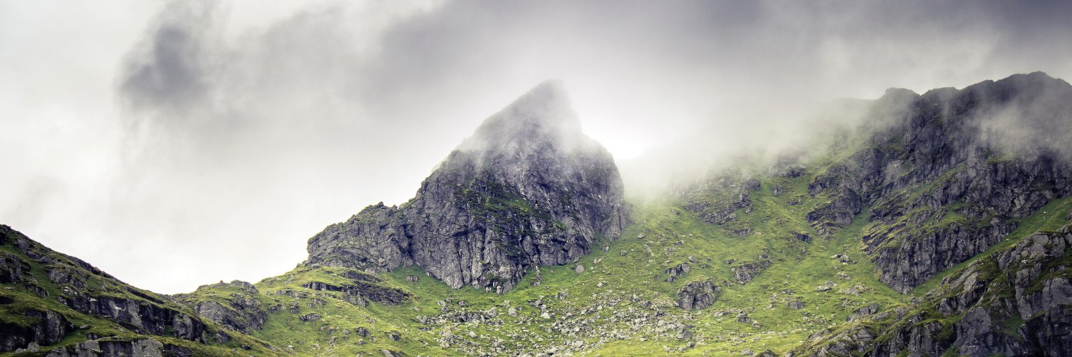 dsteele713's profile banner image