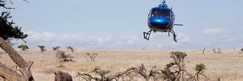 David Herbling banner