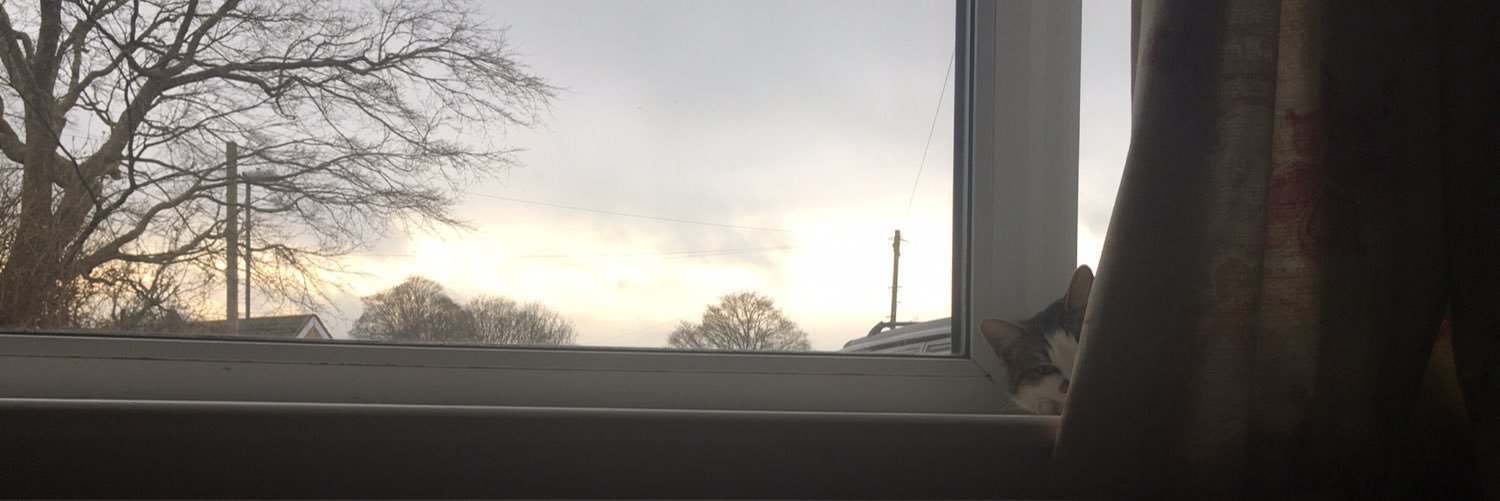 LucyGrindrod's profile banner image