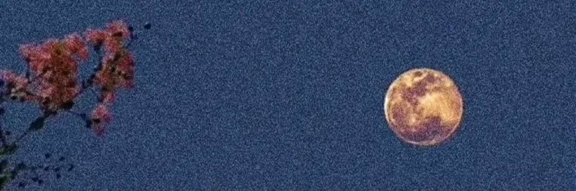 cheyyanneeee's profile banner image