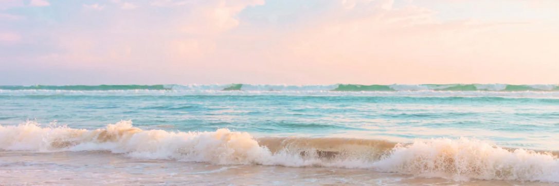 Mimi D's banner