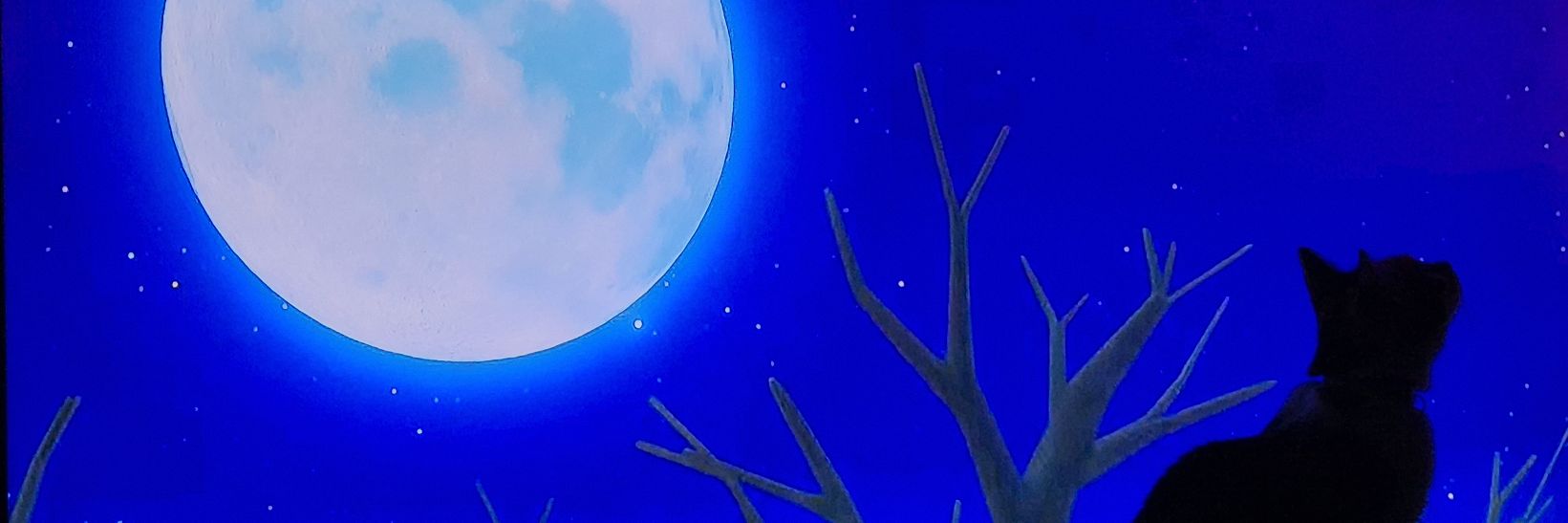 MinatoXela's profile banner image