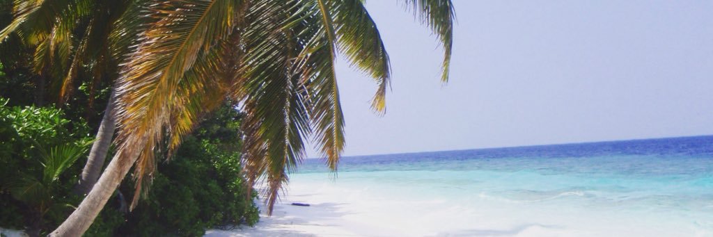 Josh Kench banner