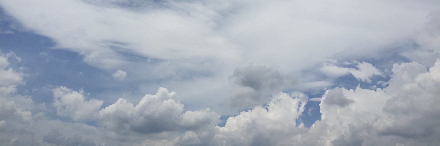 Anne Chasny Djajasasmita banner