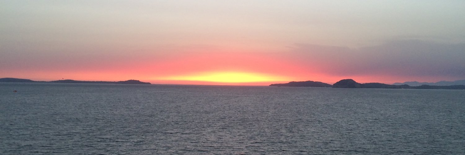 Mark McCarthy banner