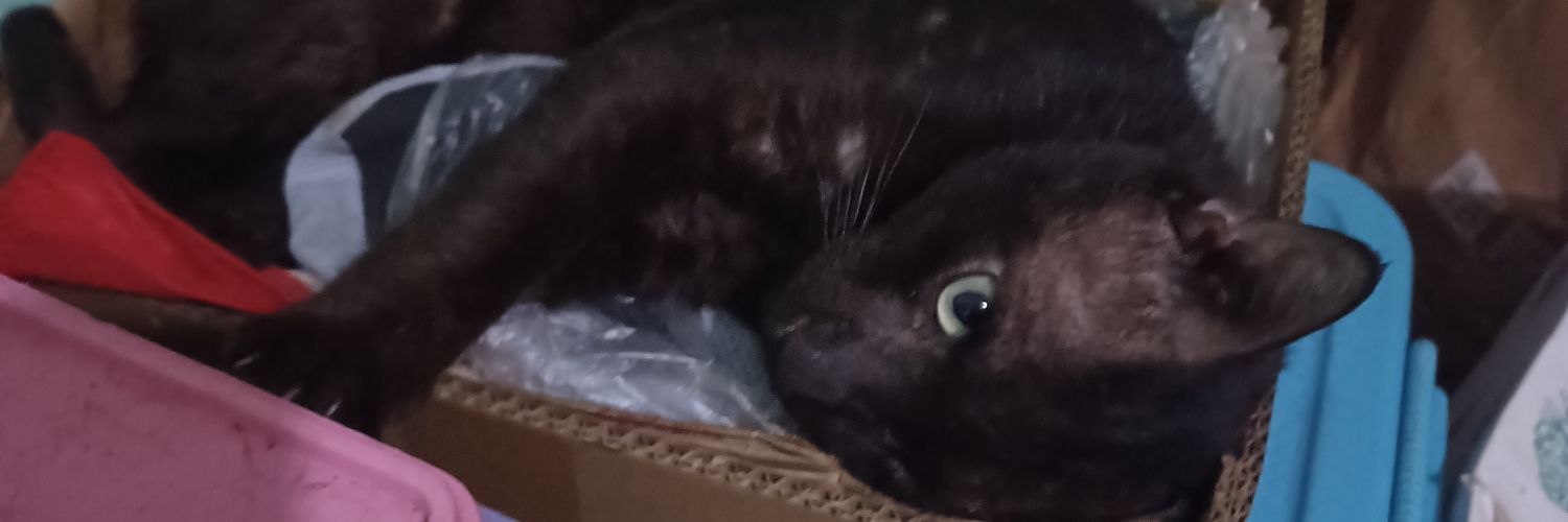 Roshyl01's profile banner image