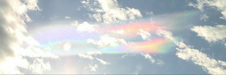 sebnemkrkr's profile banner image