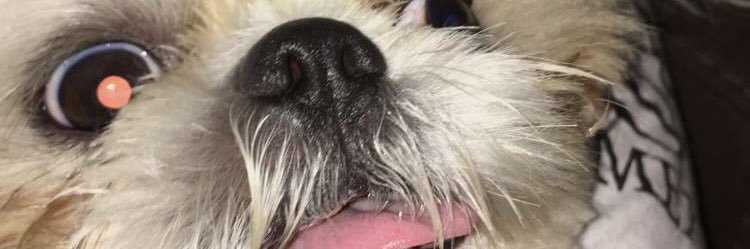 Barnes_jacob46's profile banner image
