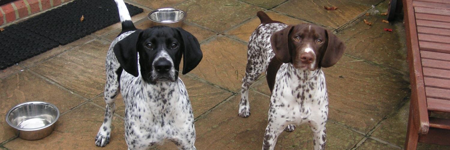 Matthew White MBE banner