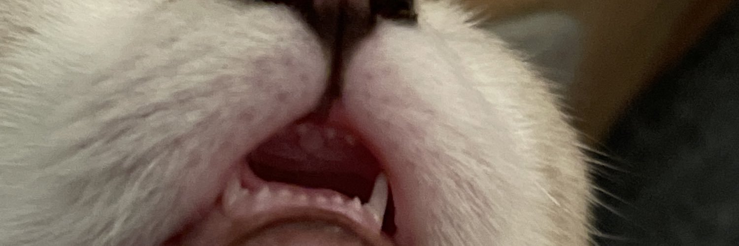 0kayIee's profile banner image