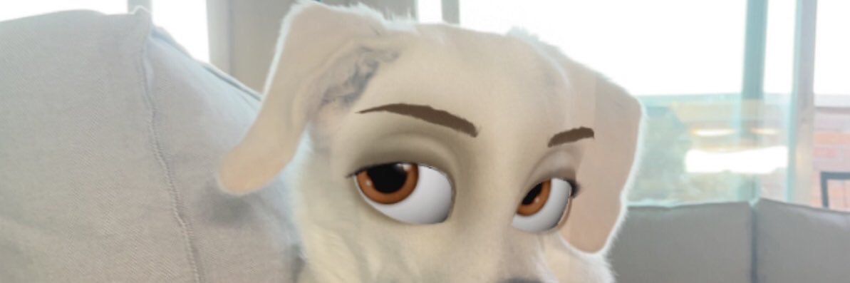 lore_calero's profile banner image