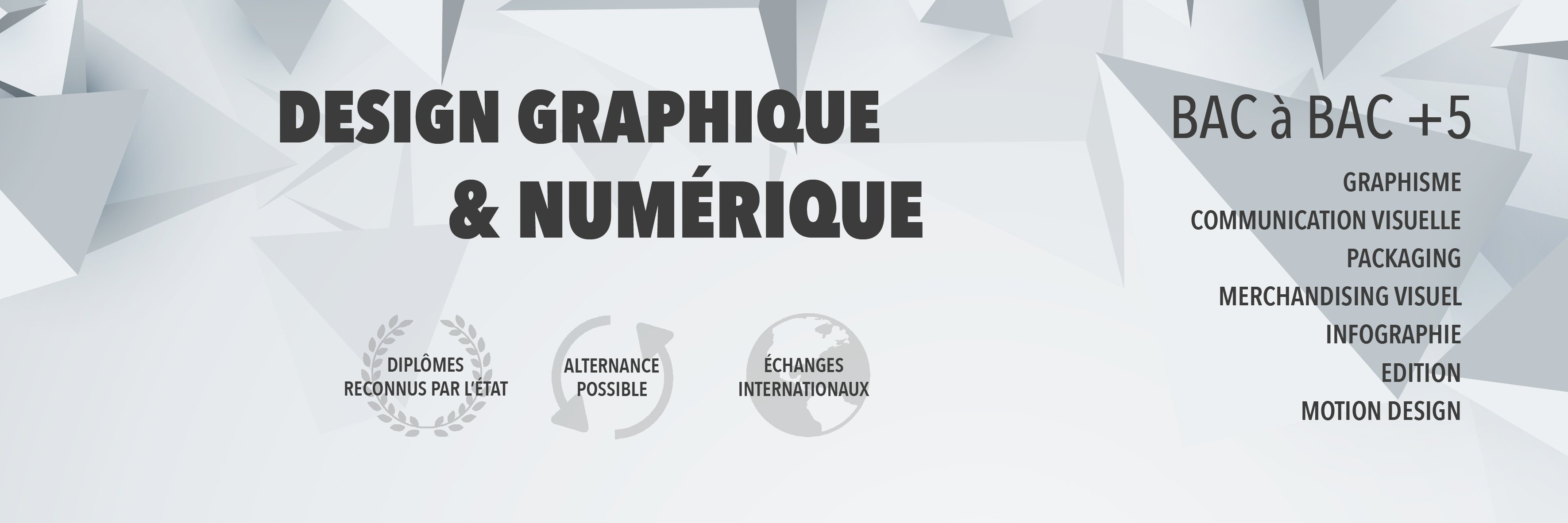 psva_paris's profile banner image
