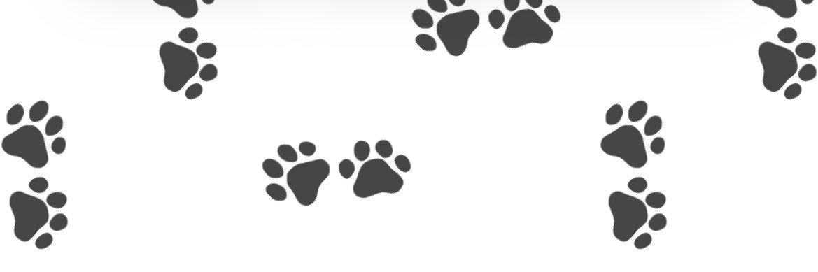 べーやん🐼🐾 banner
