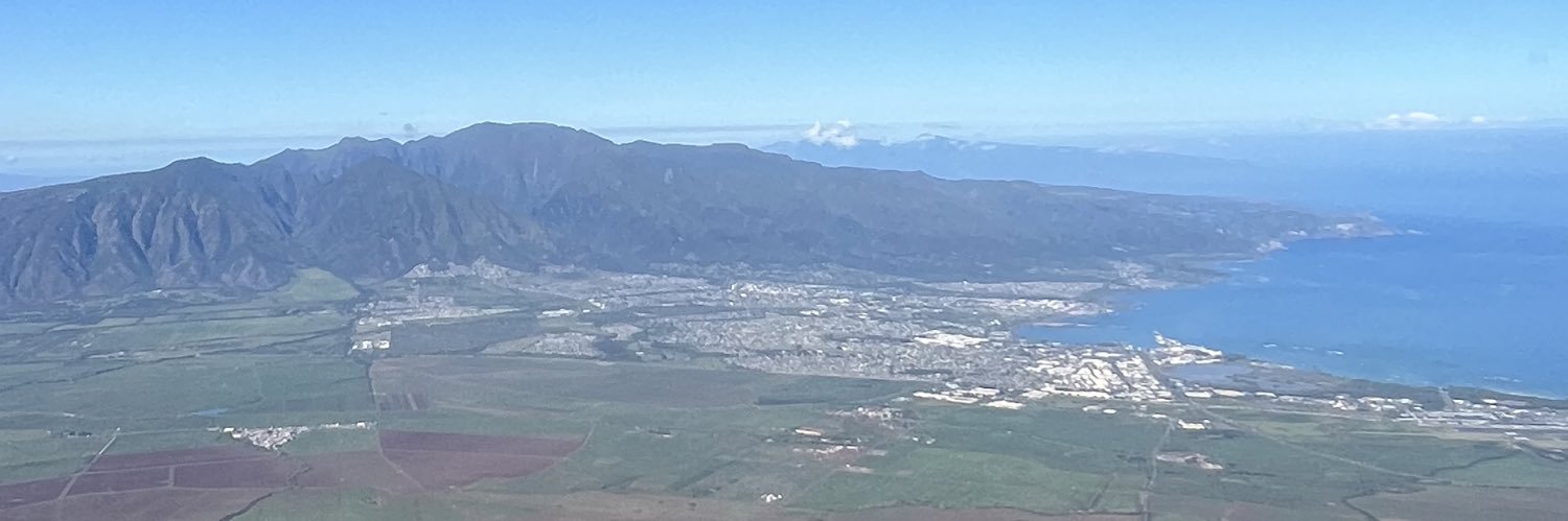 Troy Hashimoto banner