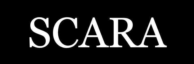 foreverforreal1's profile banner image