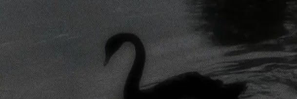 _pinkluna_'s profile banner image