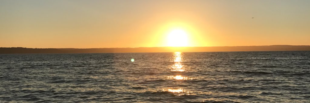 Parker__666's profile banner image